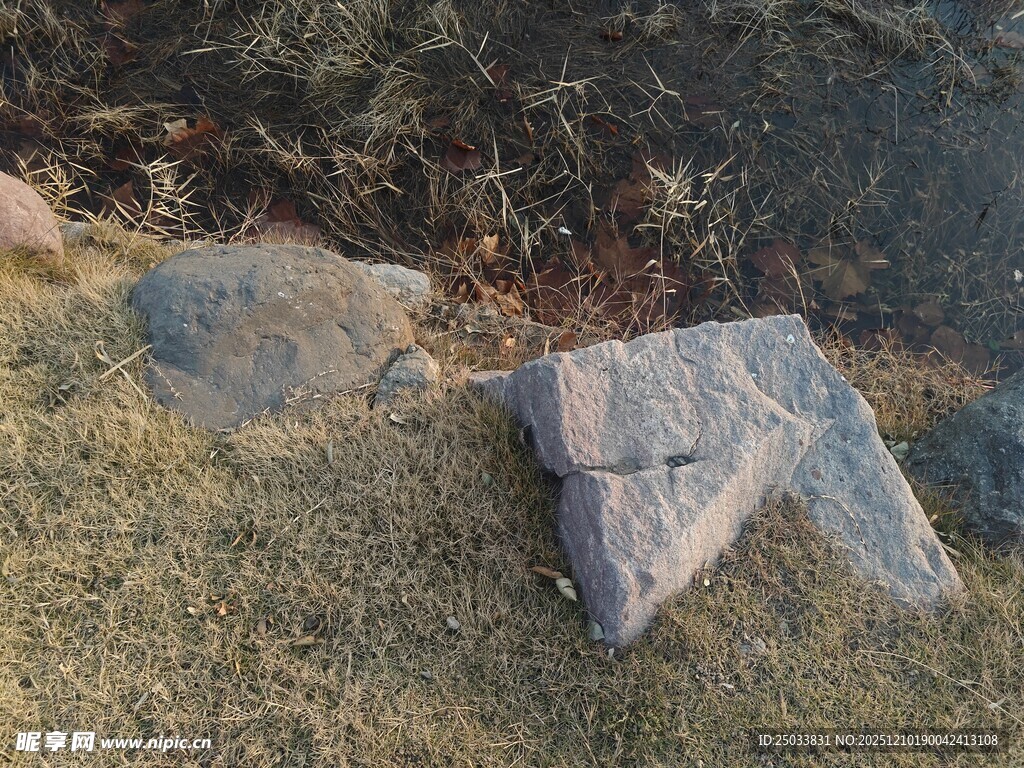 草地上的灰色石块