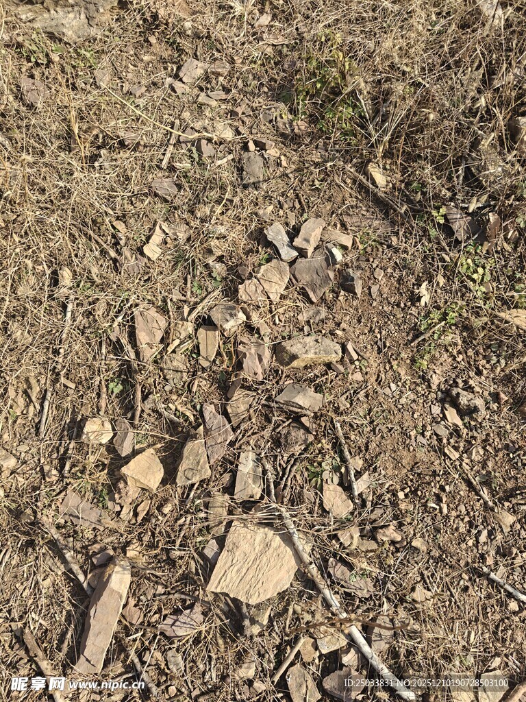地面上的碎石与枯枝