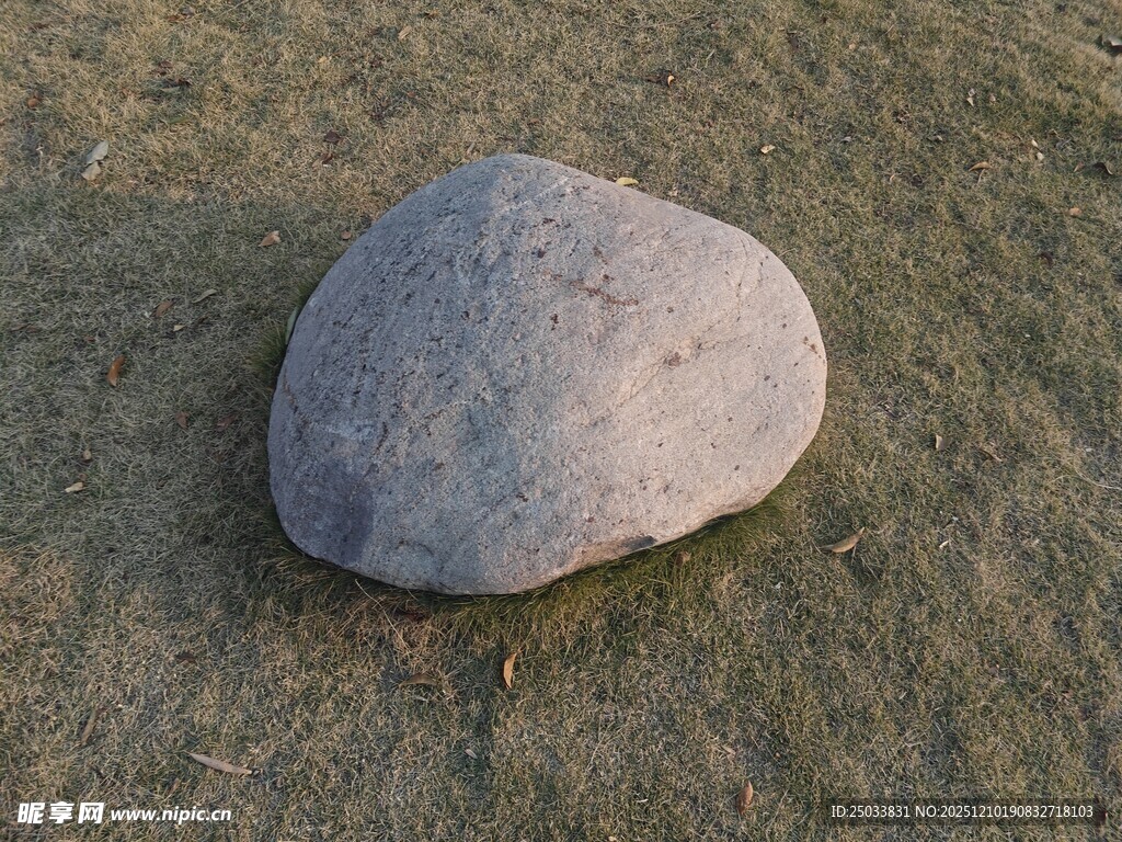 草地上的一块灰色石头