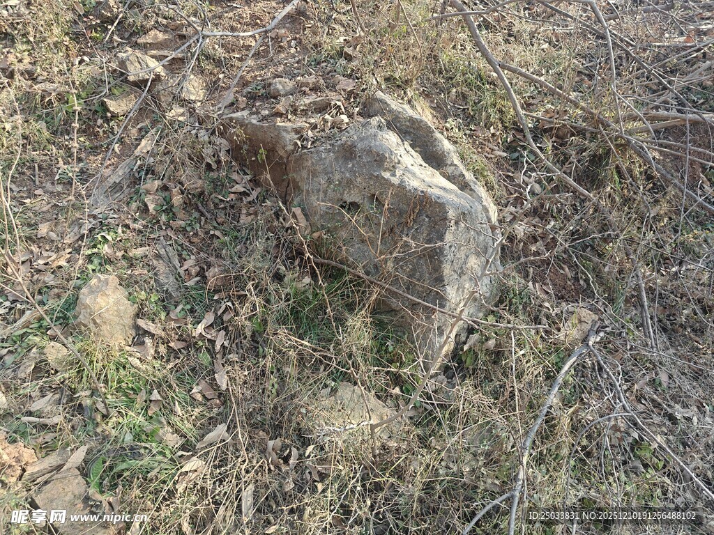 野外荒地上的一块石头