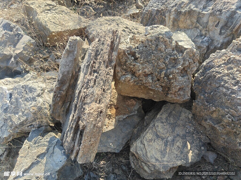 一堆形态各异的岩石