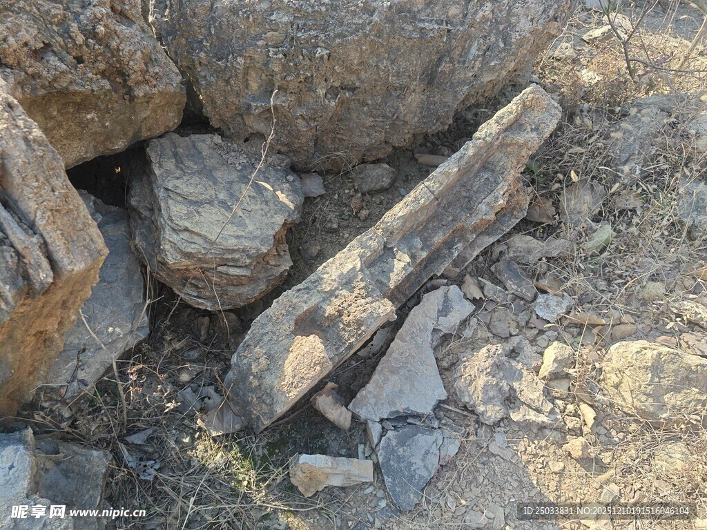 古老木化石静卧岩石间
