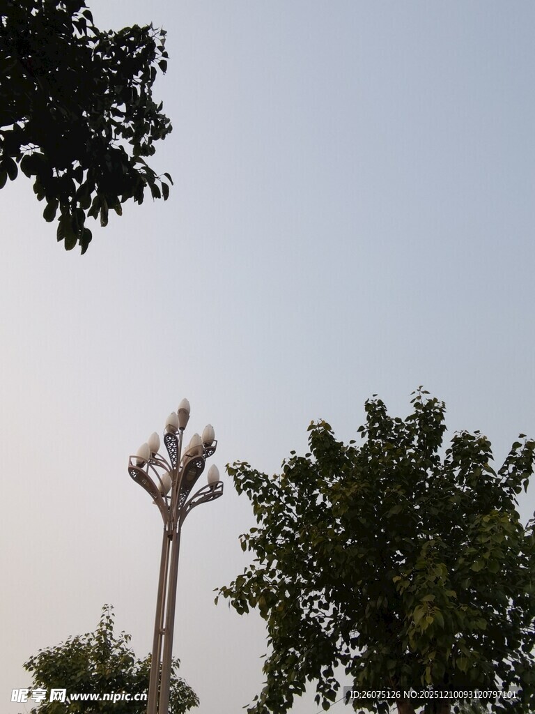 独特造型雕塑屹立于林间