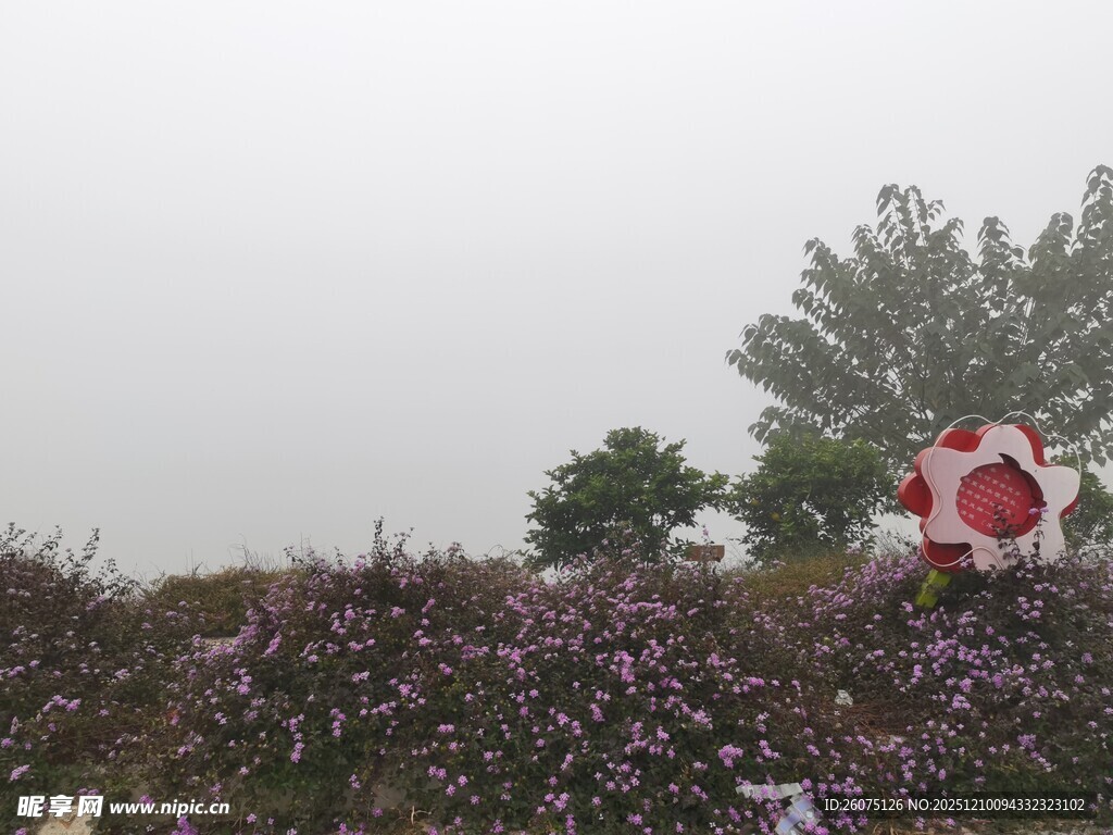 花海中的红白警示标志