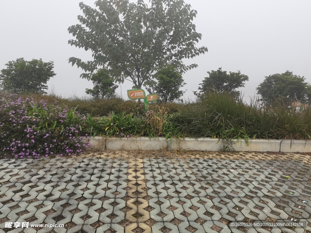 乡村金边形格子停车场