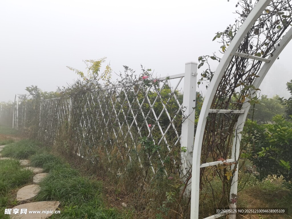 白色铁艺拱形植物围栏