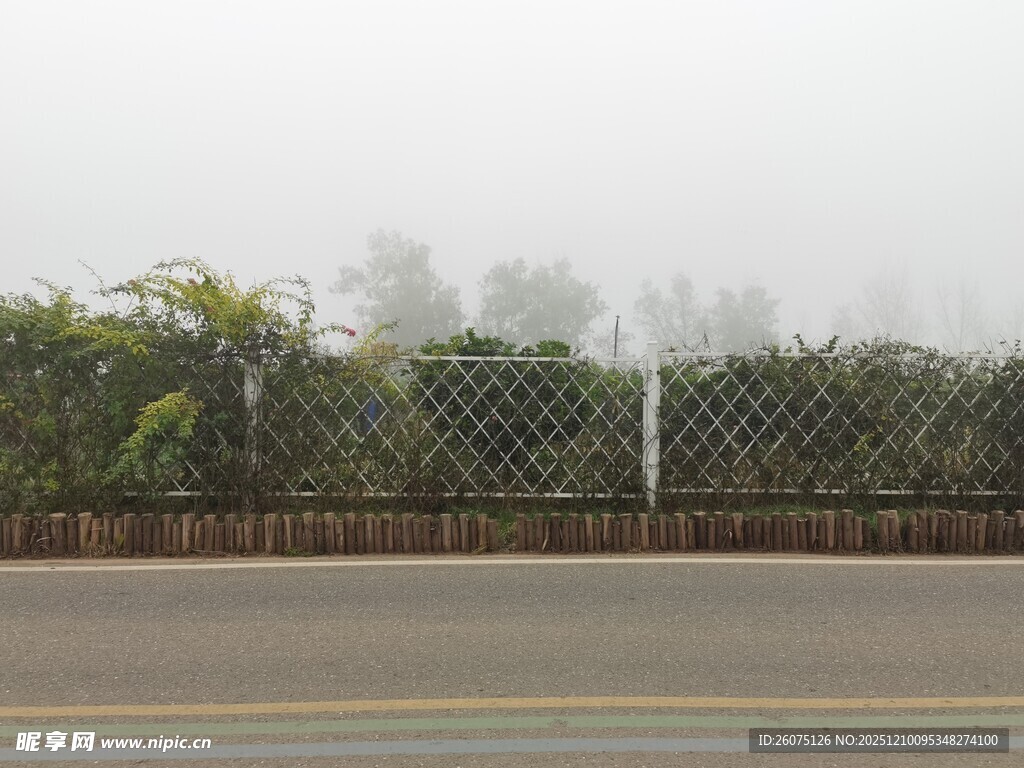 雾中路边围栏与绿植