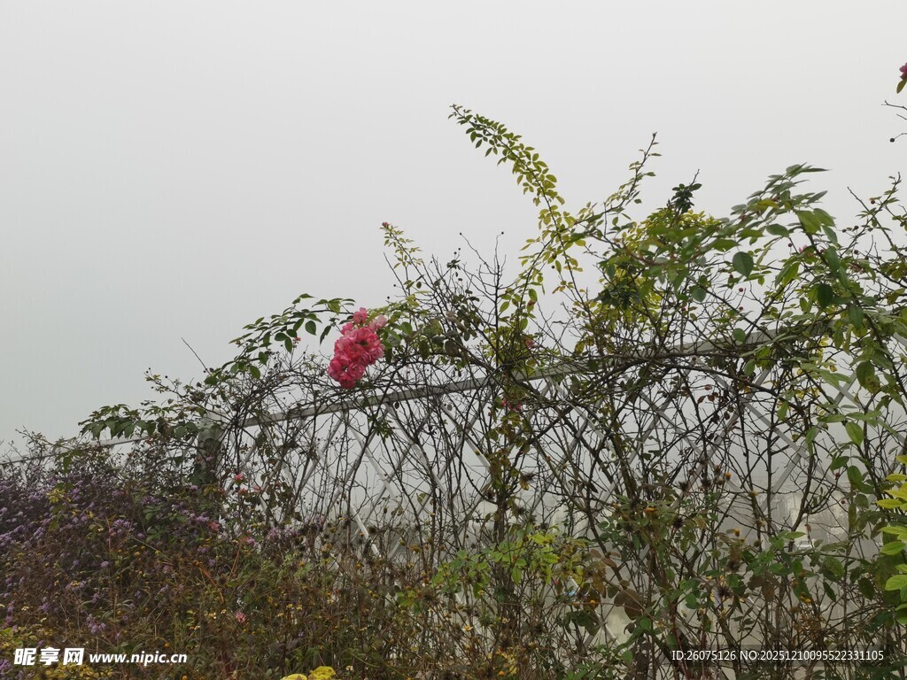 带刺围栏上的红色物体