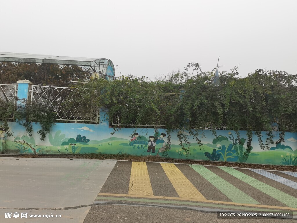 户外多彩地面与绿植景观