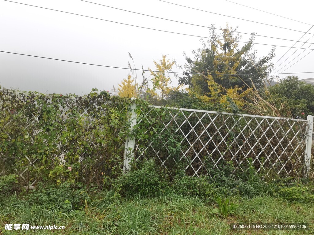 田野边的金属网格围栏