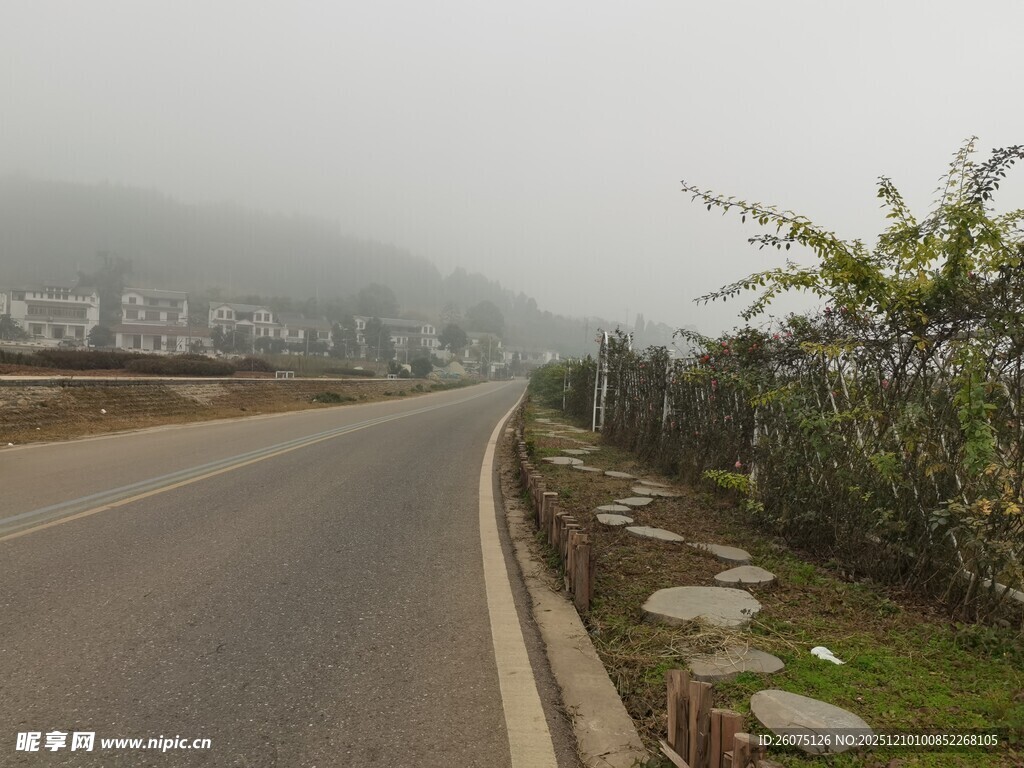 雾中蜿蜒公路旁绿植相伴