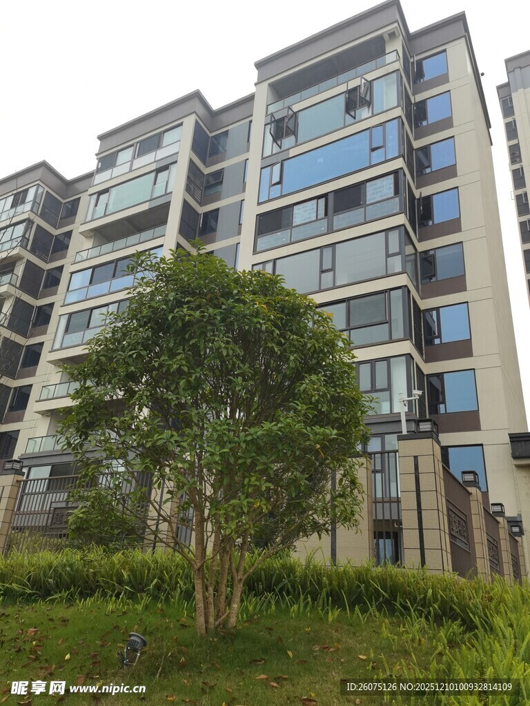 现代高层住宅与绿植景观