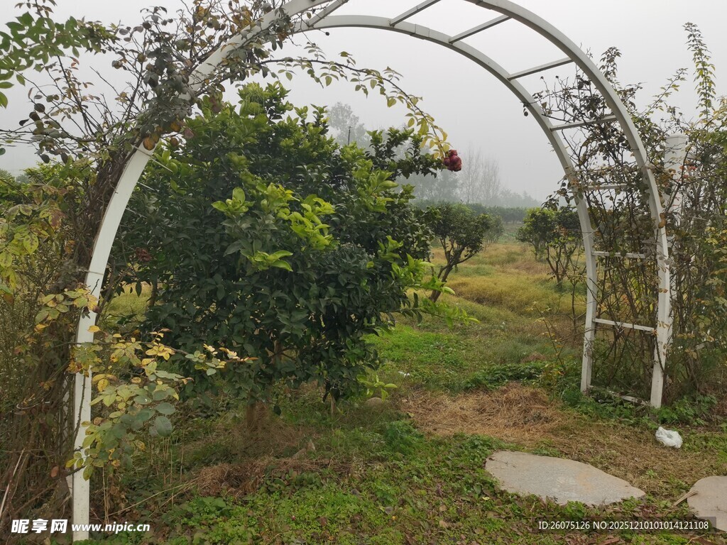田园拱形绿植景观