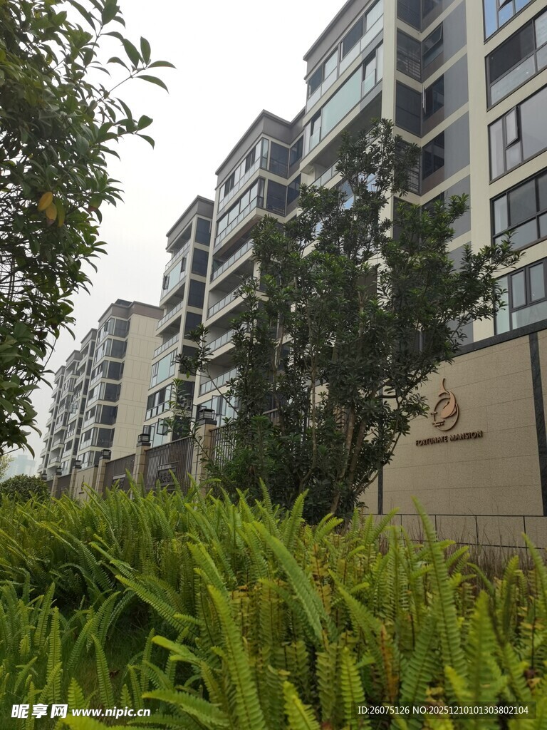 现代住宅区景观