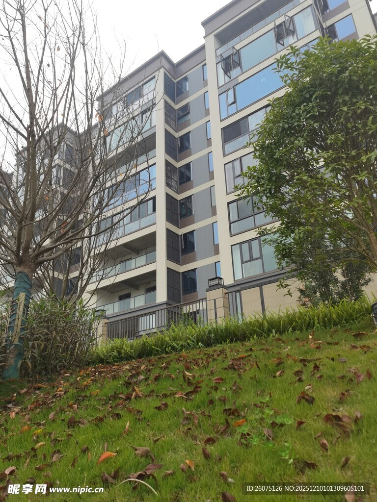 多层住宅旁的绿植景观