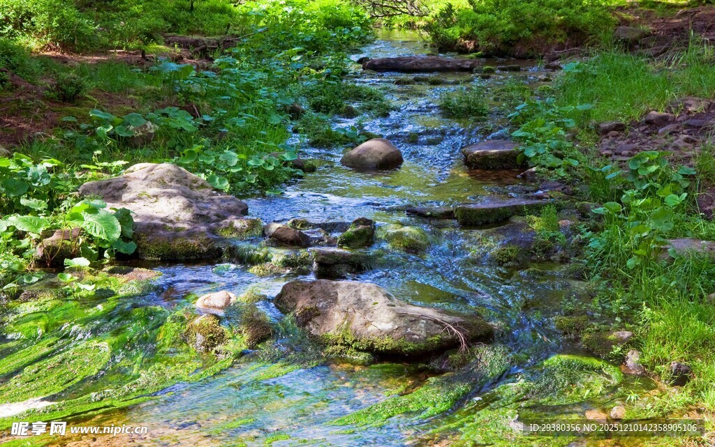 河流小溪