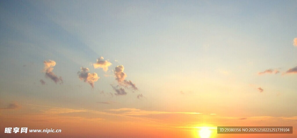 夕阳下飞鸟翱翔美景