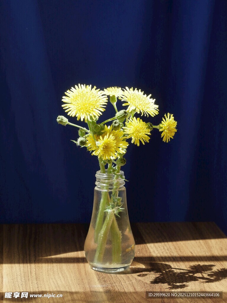 玻璃瓶中的黄色清新小花