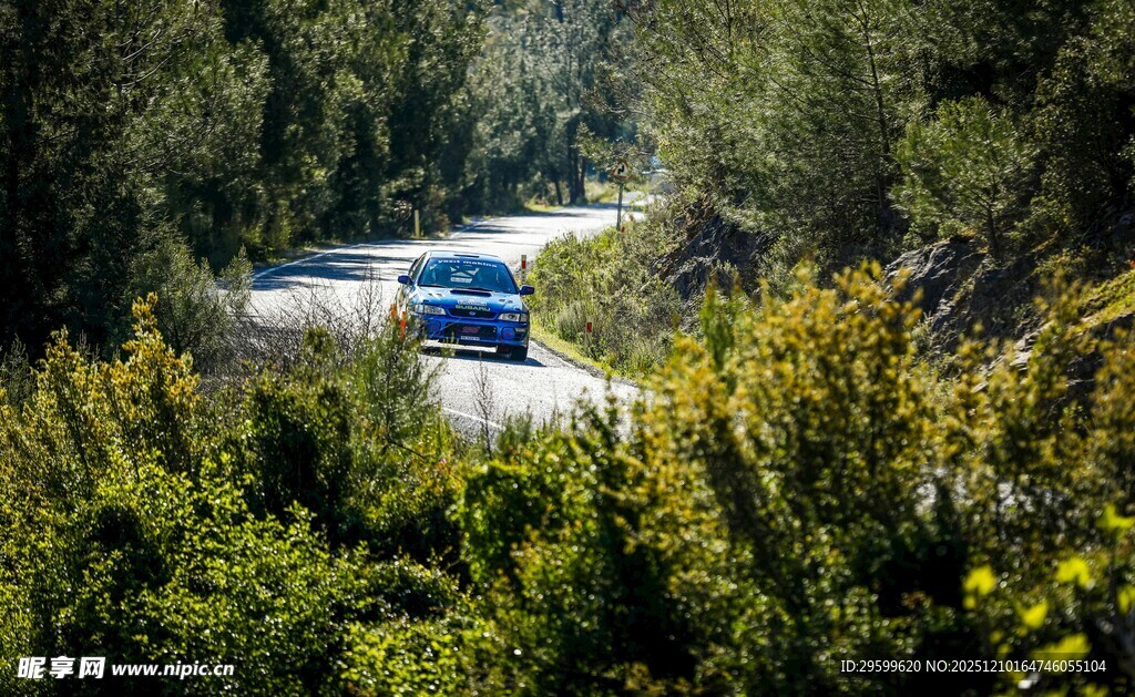 林间公路上行驶的蓝色汽车