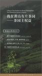 茶园海报