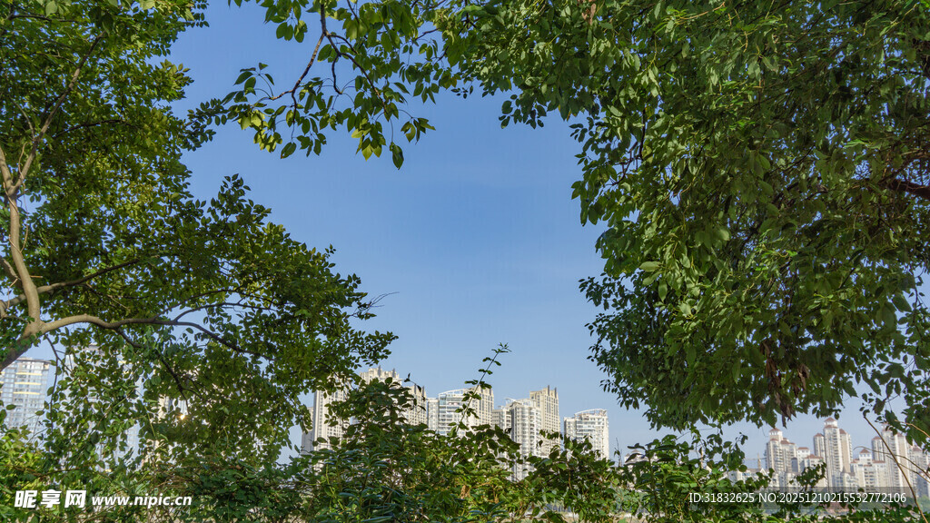 绿树掩映下的城市天际线