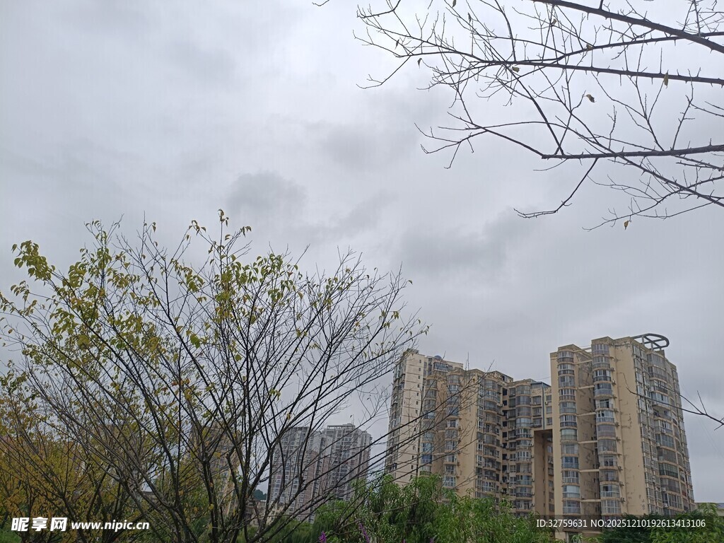 阴天中的城市高楼与树木
