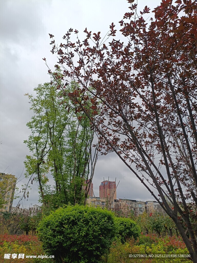 城市中的多彩绿植景观