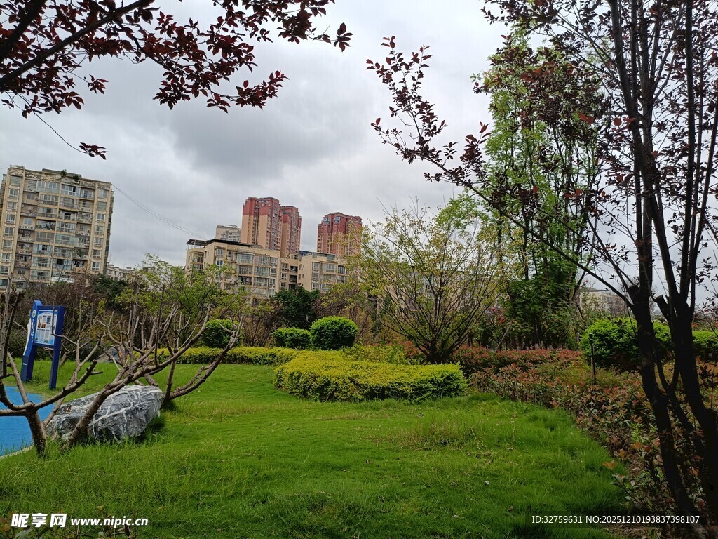 城市中的绿意盎然公园景观
