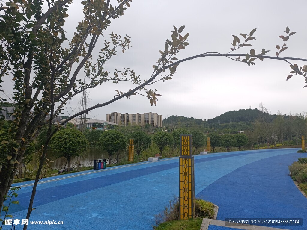 蓝色步道旁的自然景致