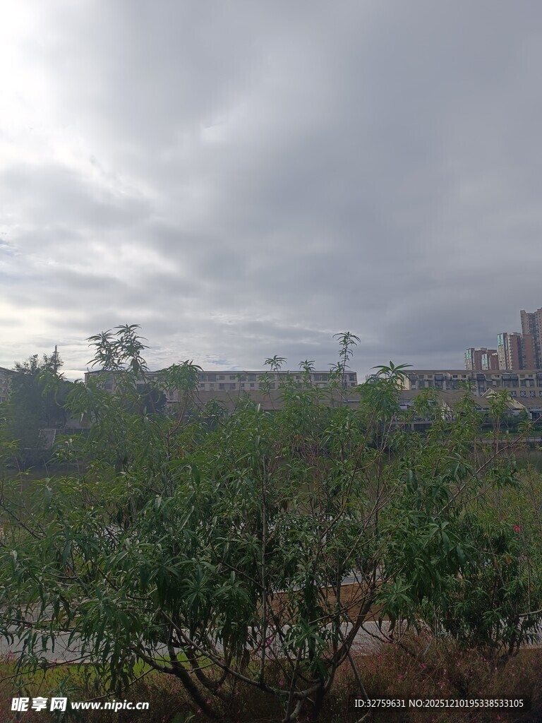 阴天时的城郊植被景观