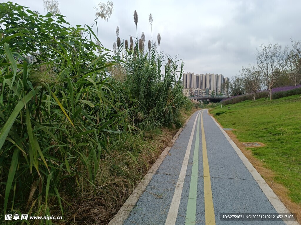 城市中的多彩骑行步道