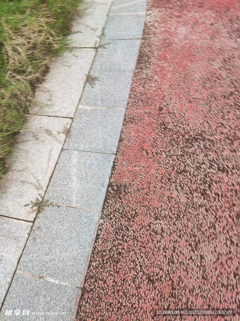 彩色步道与边缘草地景观