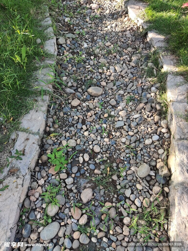 碎石小径自然静谧之景