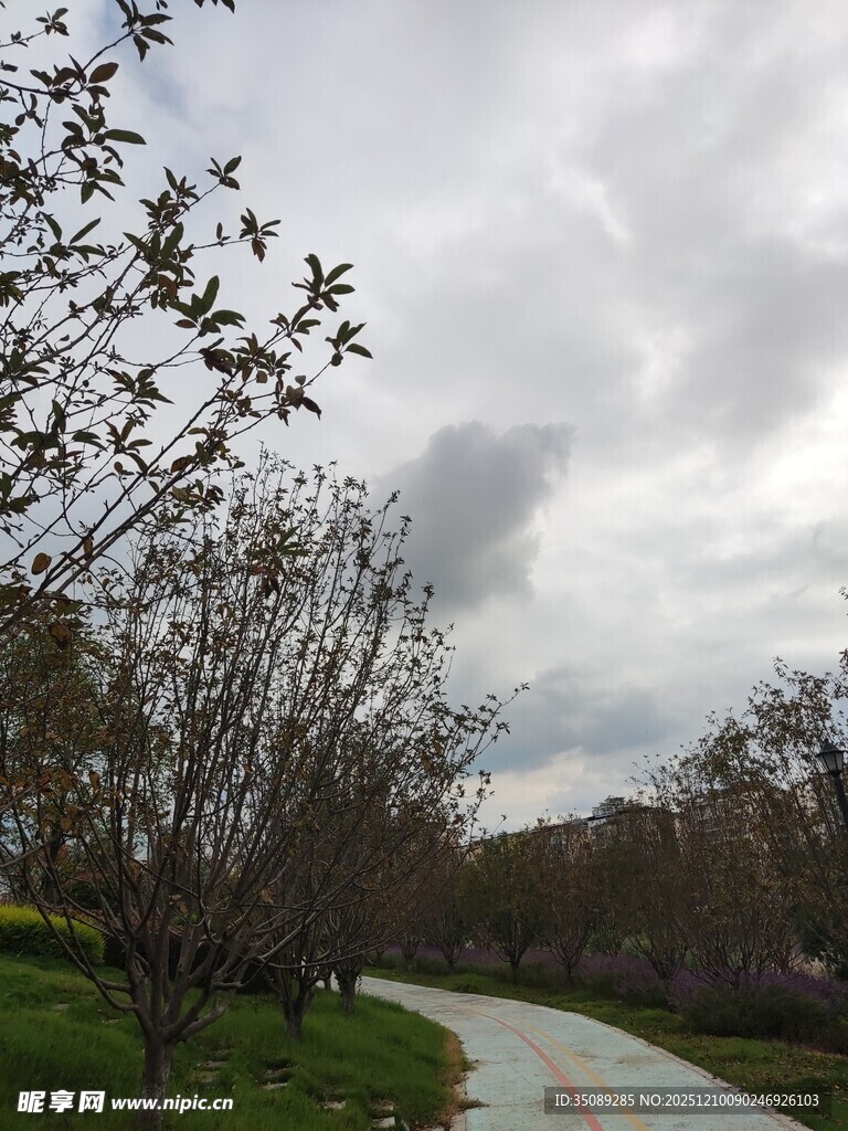 阴天公园小路风景