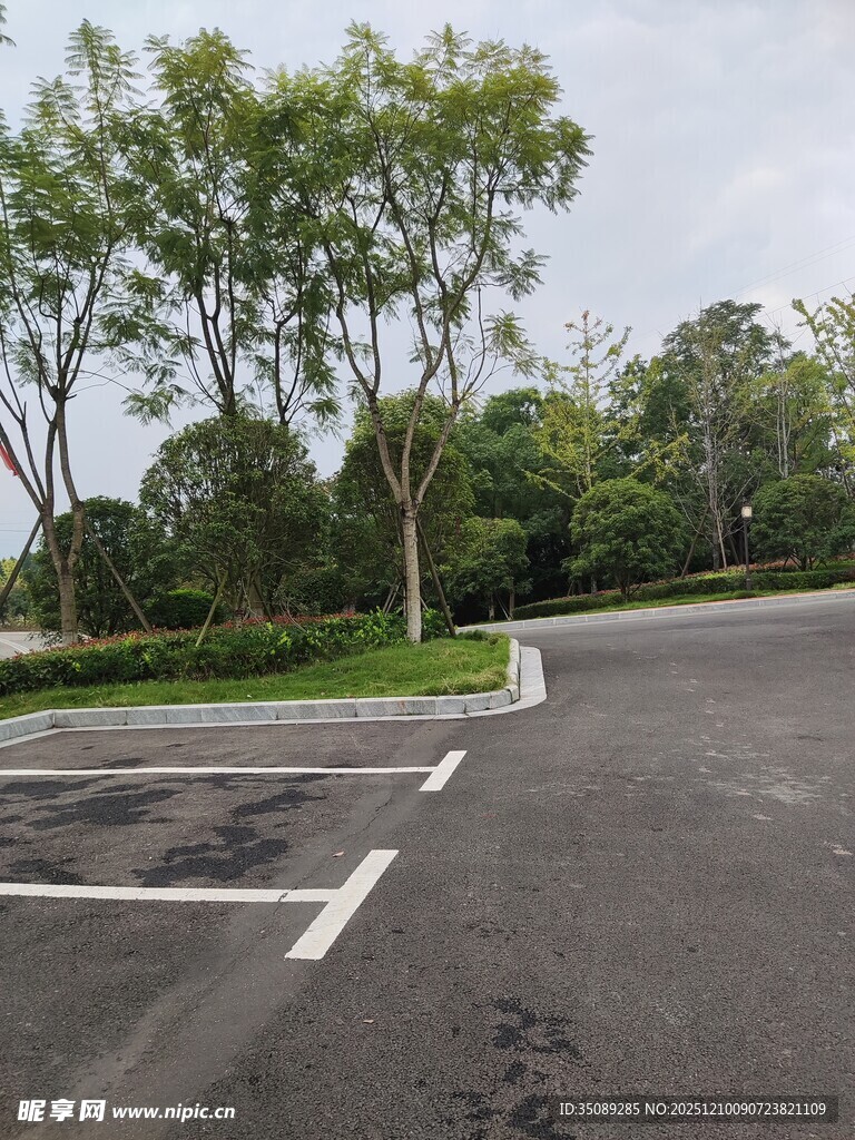 空旷停车场与周边绿树