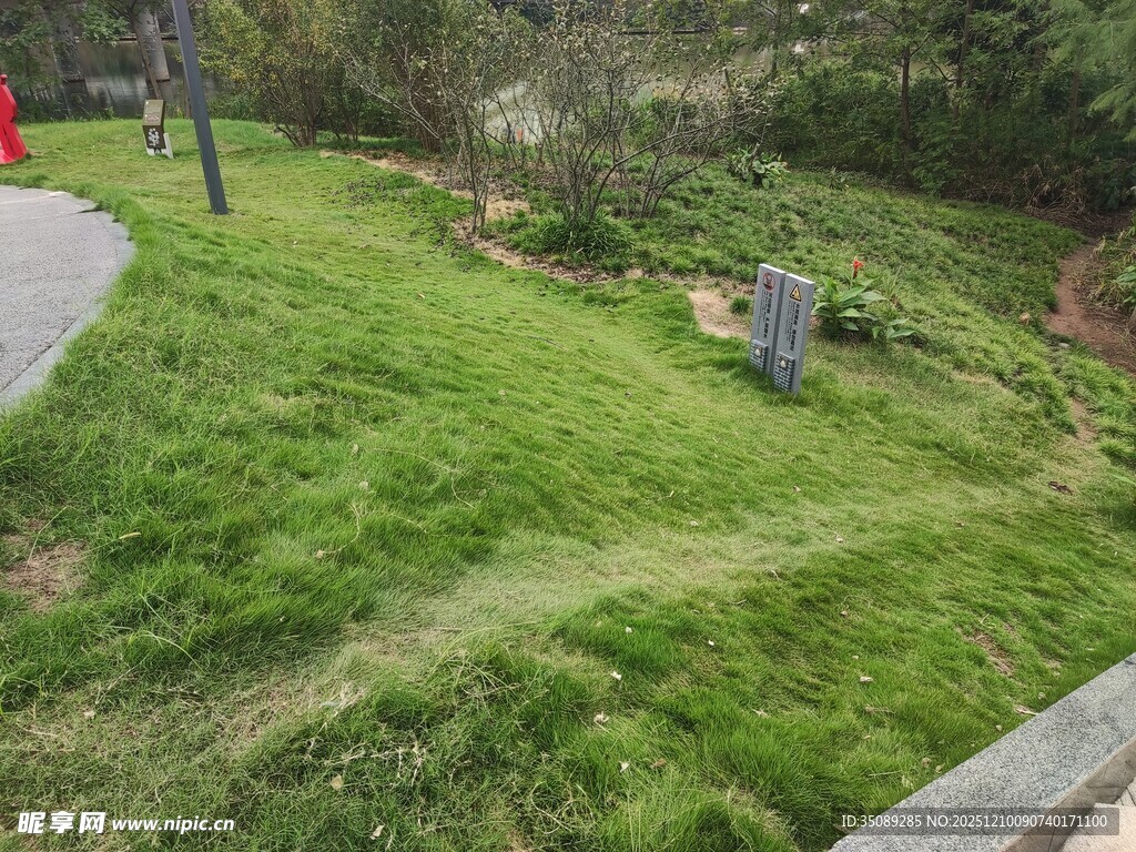 路边翠绿草坪景观