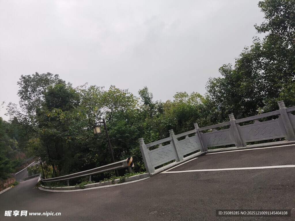 道路旁的绿植与围栏景观