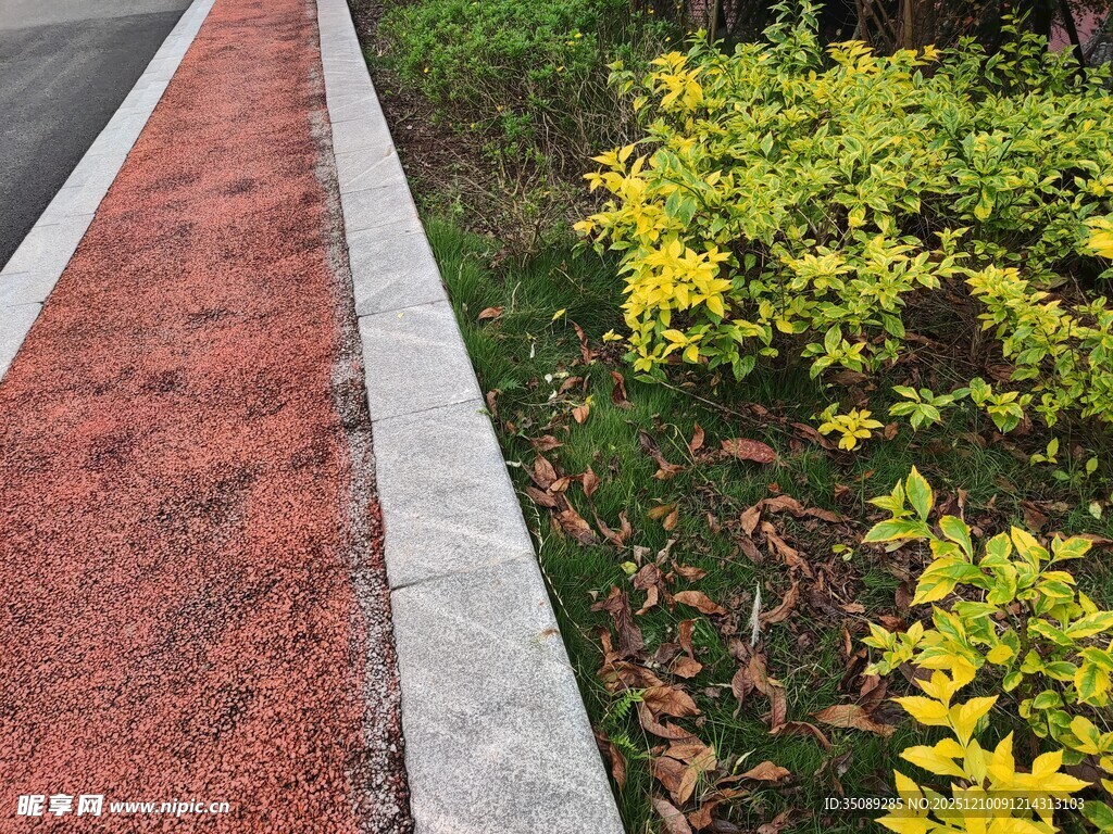 彩色步道旁的绿植景观