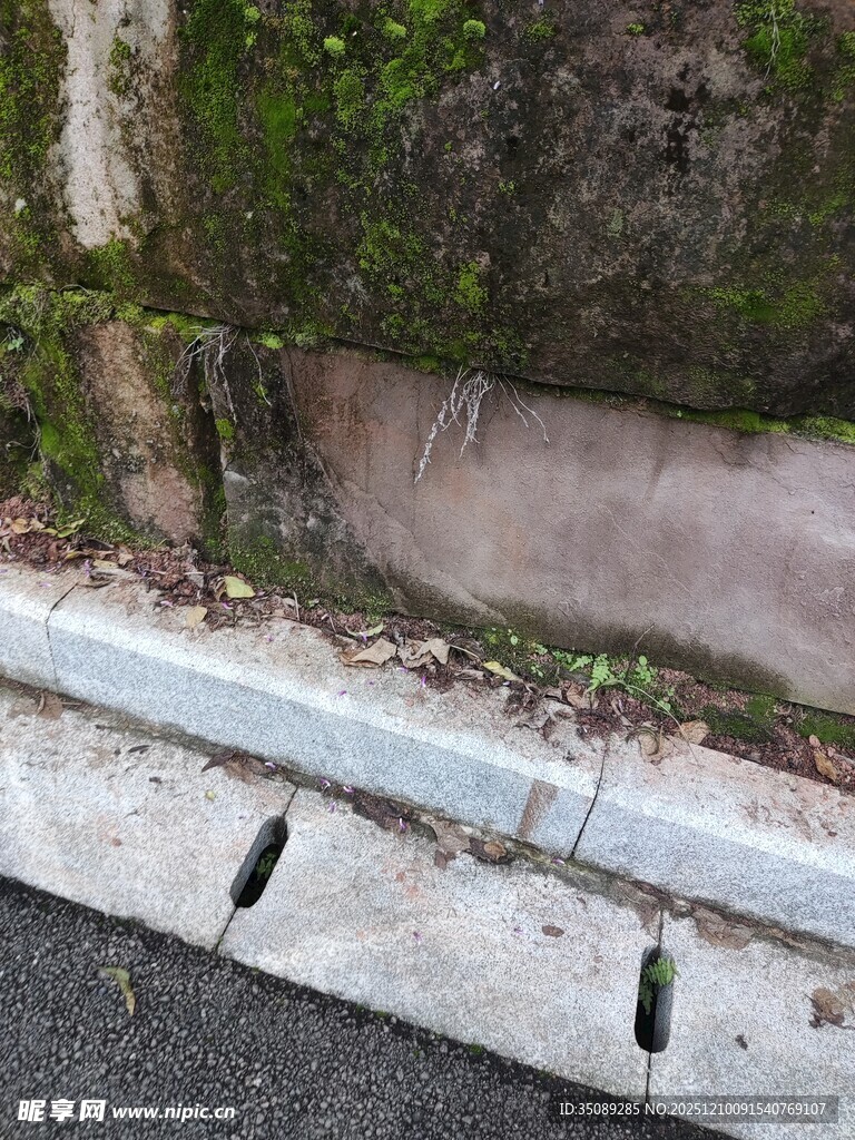 路边石材旁的小虫景观