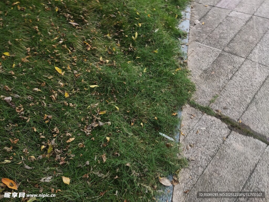 草地与石板路的自然衔接