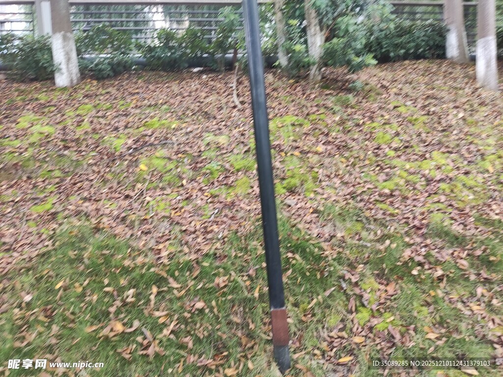 户外鱼竿立于落叶草地