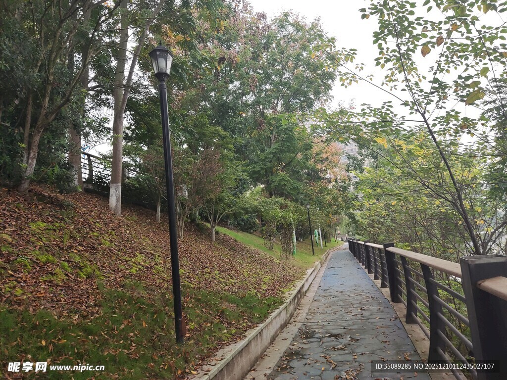 秋日林间漫步小道