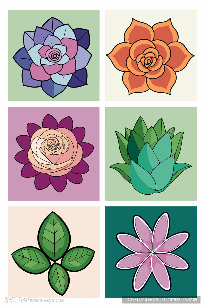多彩多肉植物插画集合