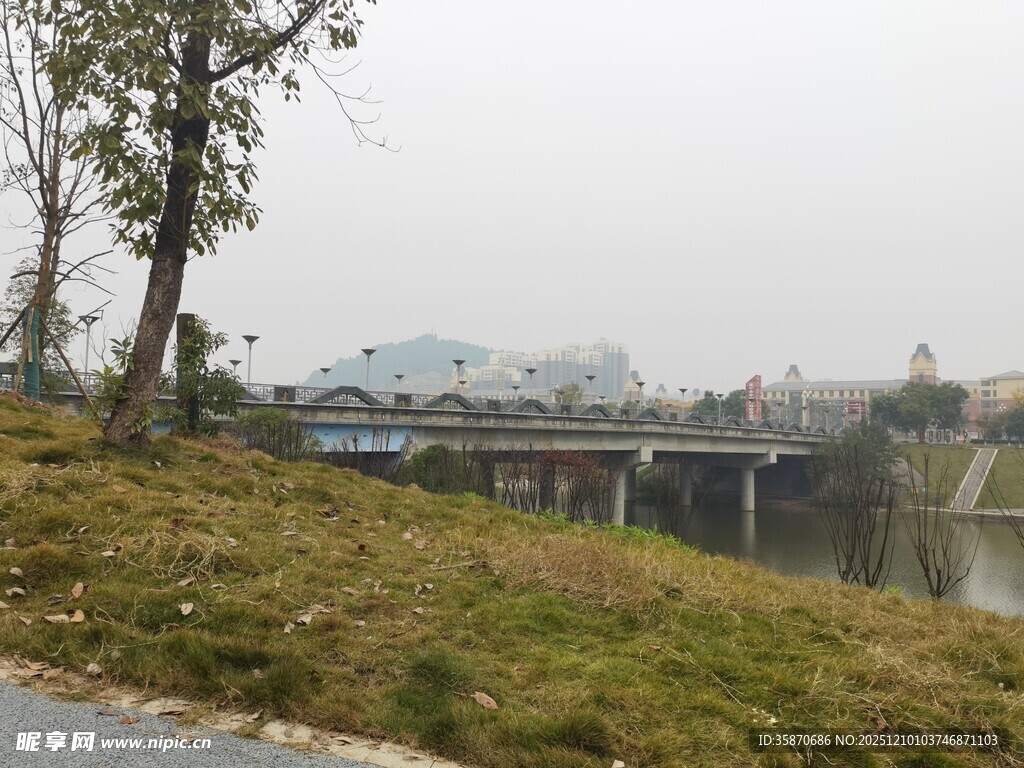 郊外公路旁的桥与自然景色