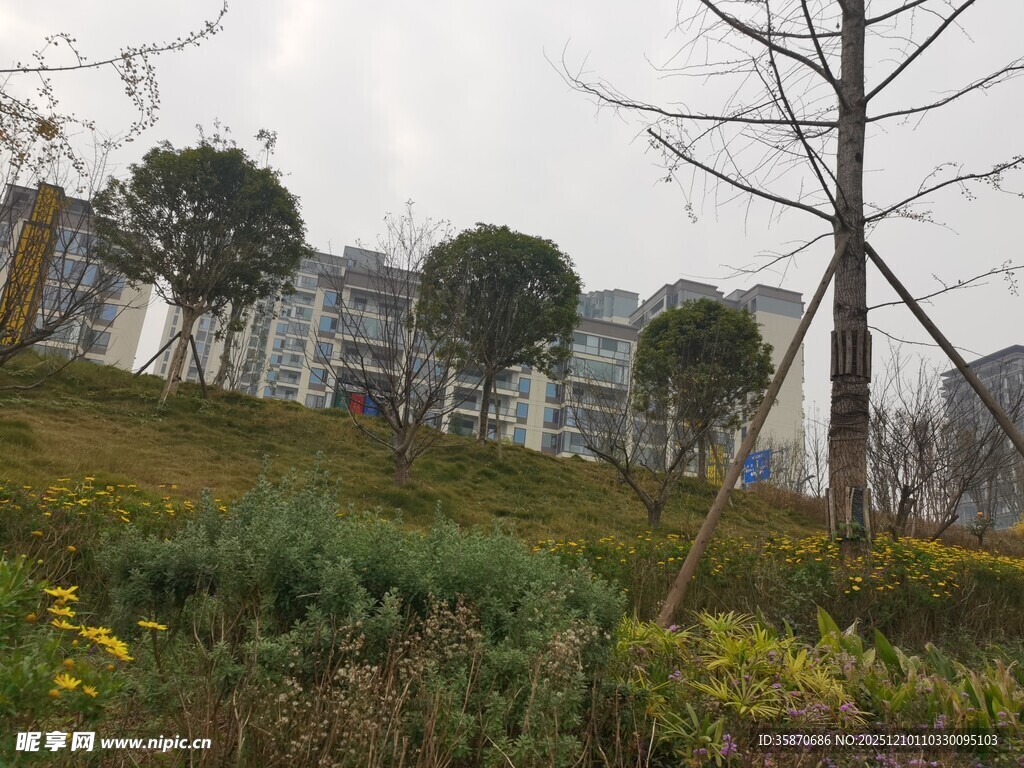 城市绿地中的树木与花草