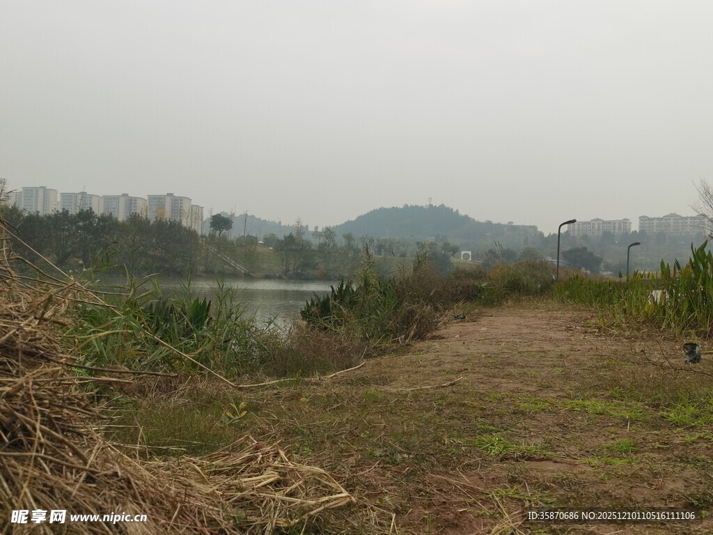 乡村野外河岸风景图