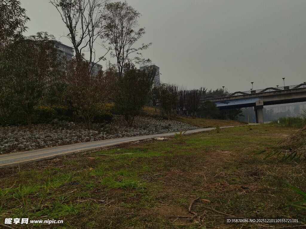 郊外草地旁的宁静小路
