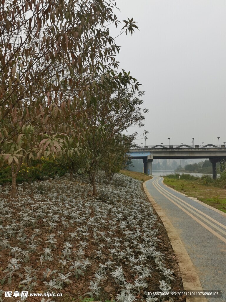 河边林荫小道风景