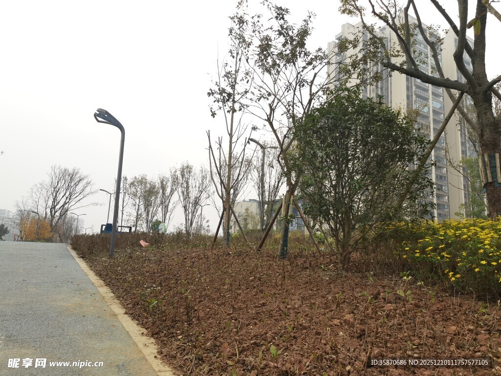 城市道路旁的绿化景观