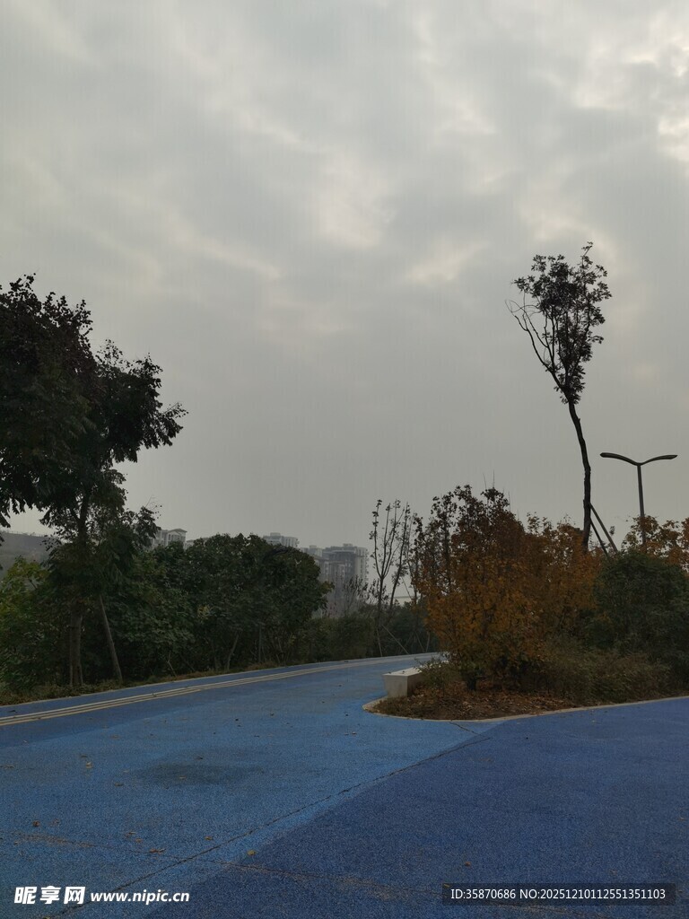 户外蓝色场地与绿植景观